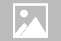 开云官网入口 - Scout新星问鼎冠军表现惊艳，法国队未来可期！